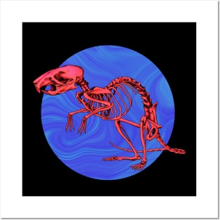 Rat Skeleton Psychedelic Posters and Art